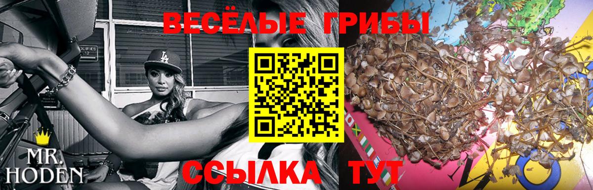 Псилоцибиновые грибы мухоморы  Вход с VPN  Новороссийск  Галлюциногенные грибы прущие грибы 