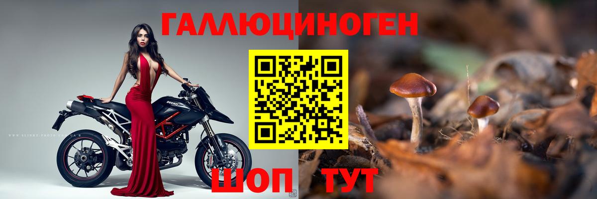 МДМА Новороссийск